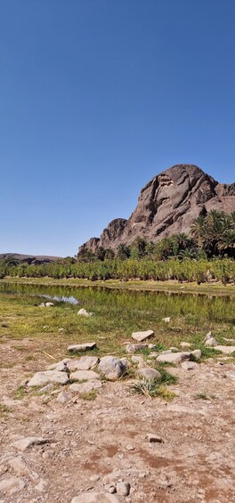 A rocky landscape with a clear blue sky, a large mountain, and a calm body of water. 5