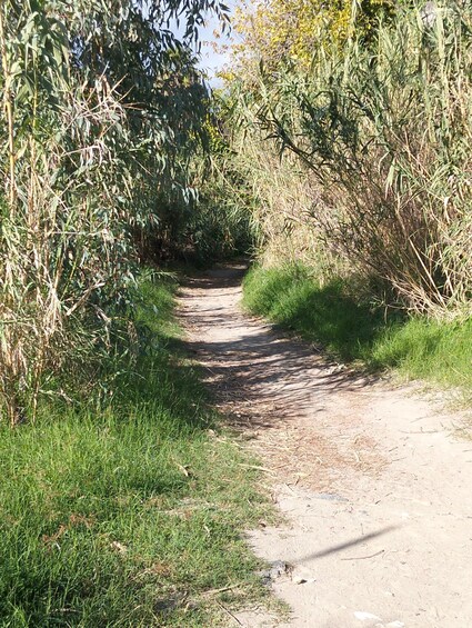 Picture 11 for Activity Giardini Naxos: A tour through history and legends with an expert guide 2