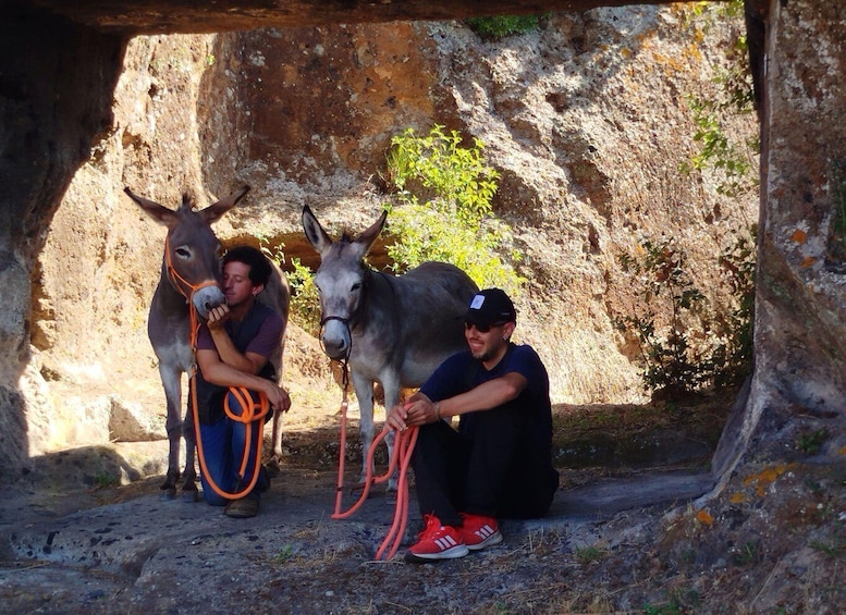 Two donkeys tethered to a rocky cliffside with a person standing between them. 2