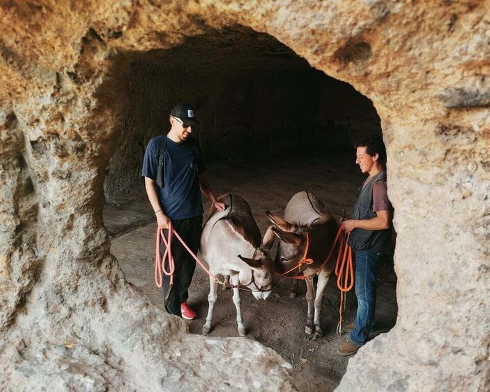Two people with donkeys in a cave. 4
