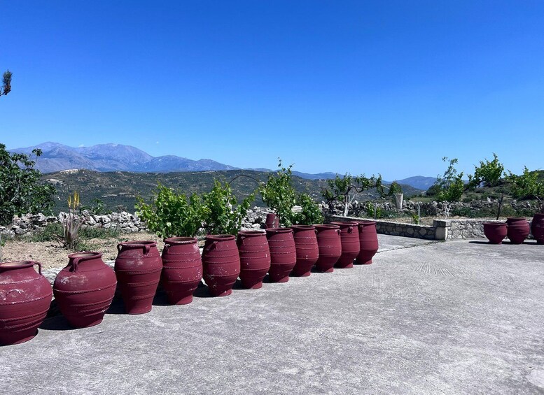 Large red pots lined up on a terrace with a mountainous landscape in the background. 5