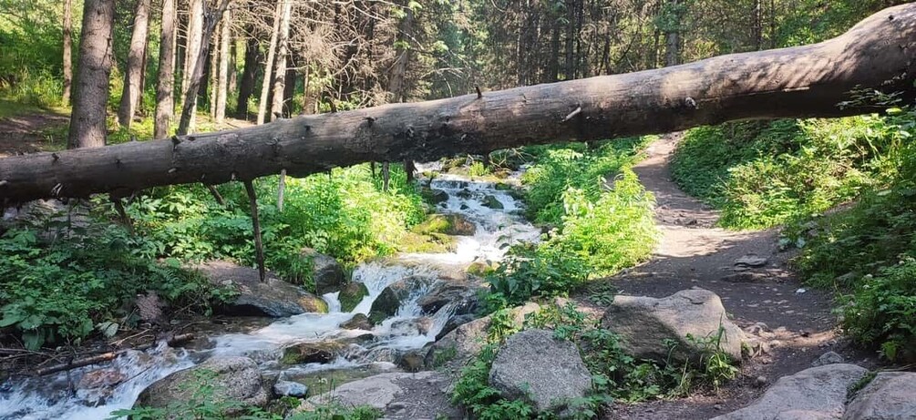 Picture 3 for Activity Best of Almaty in One Day: Mountains, Easy Hike & City Views 3
