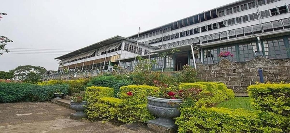 A modern building with a flat roof and multiple windows. In front, there are well-maintained hedges and flower pots. 5