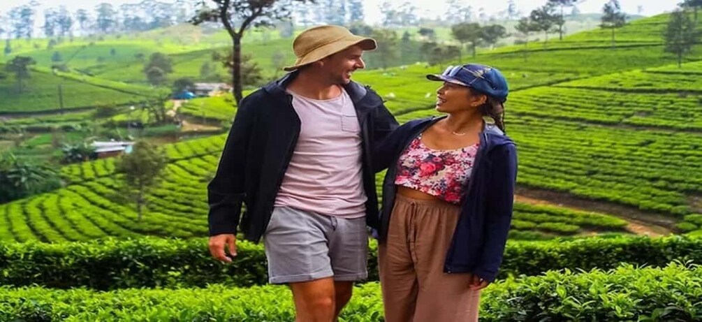 Two people walking on a lush green tea plantation with terraced fields. 4