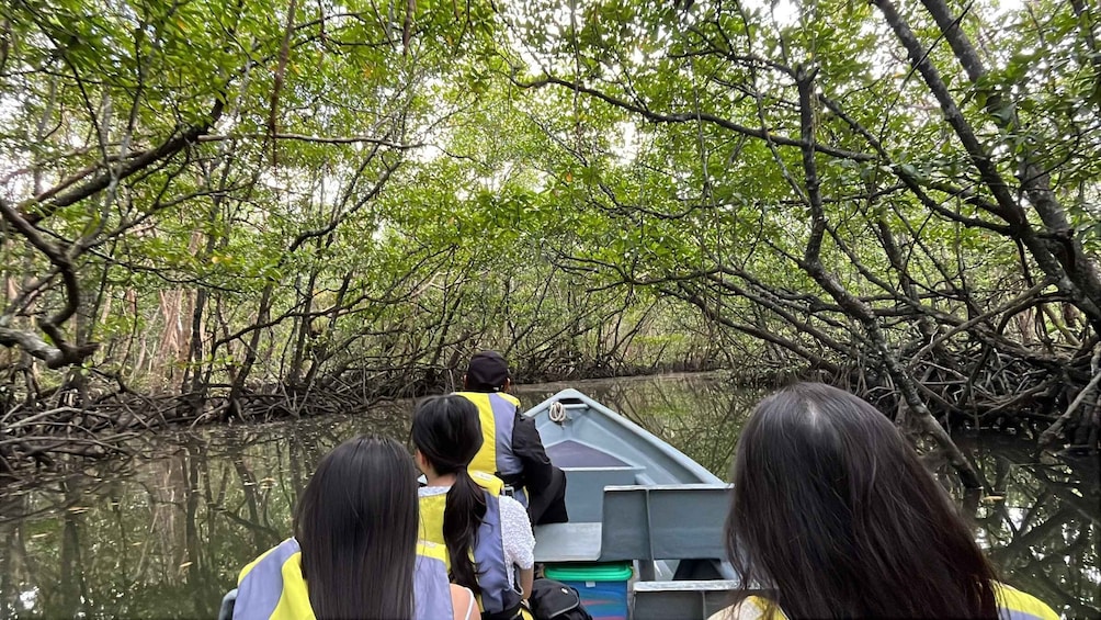 Picture 6 for Activity Bintan Island : Mangrove Or Fireflies Tour 2