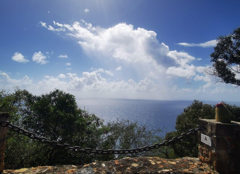 A coastal landscape with a chain-link fence, a cactus, and a sign indicating a viewpoint. 1