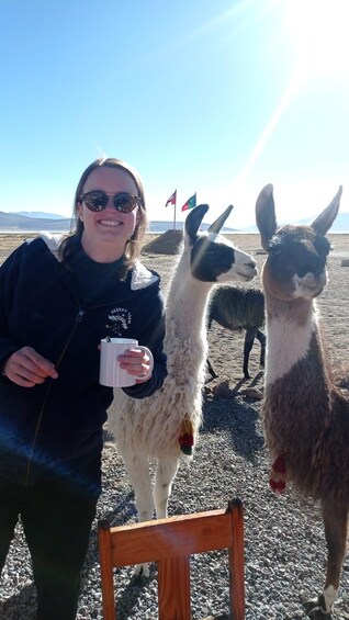 Picture 6 for Activity Laguna and Salar de Salinas with a panoramic view of the Misti and Chachani Volcanoes. 3