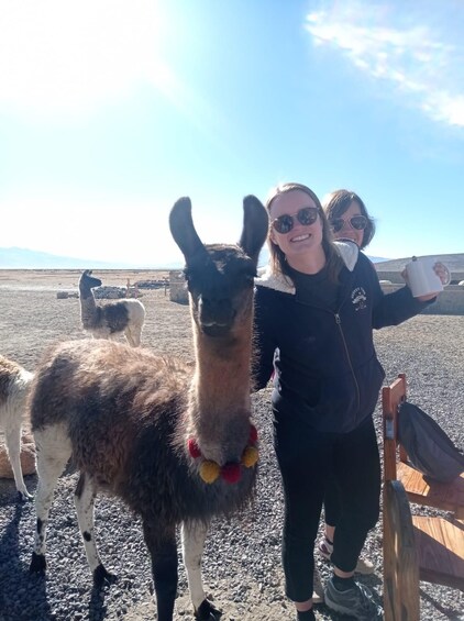 Picture 5 for Activity Laguna and Salar de Salinas with a panoramic view of the Misti and Chachani Volcanoes. 2