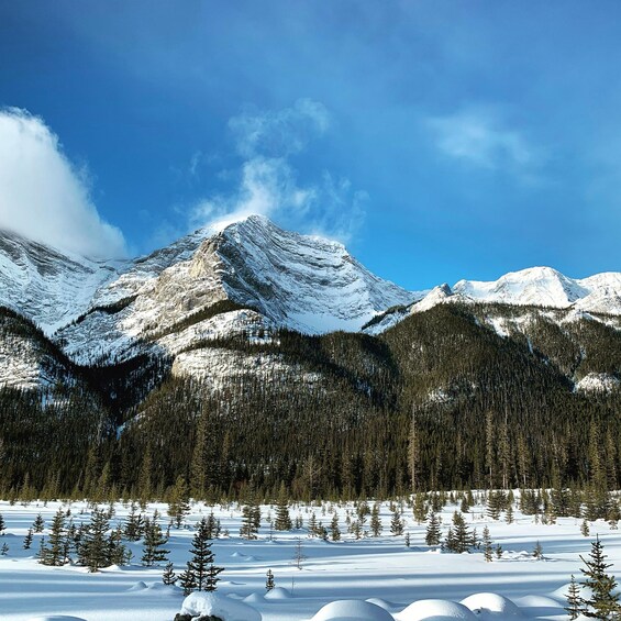 A snow-covered mountain range with dense forests and a clear blue sky. 2