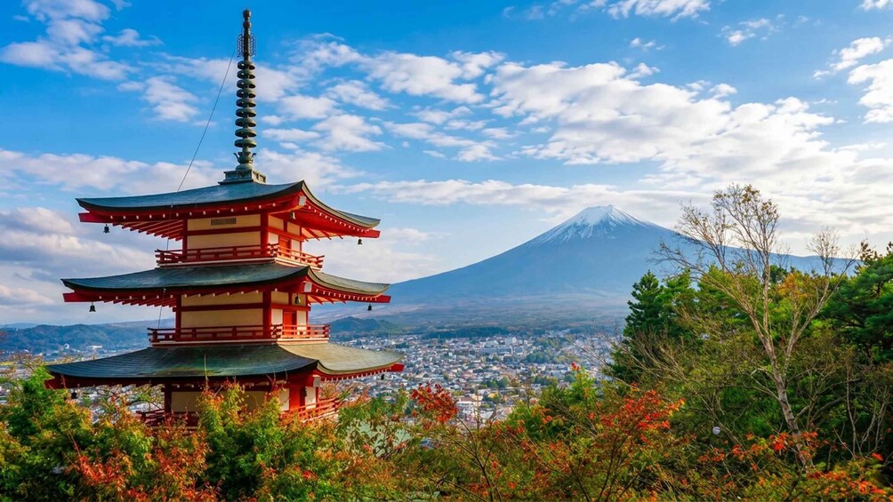 Picture 2 for Activity Tokyo: Mt Fuji & Arakurayama& Oshino Hakkai&Lake Kawaguchiko 3