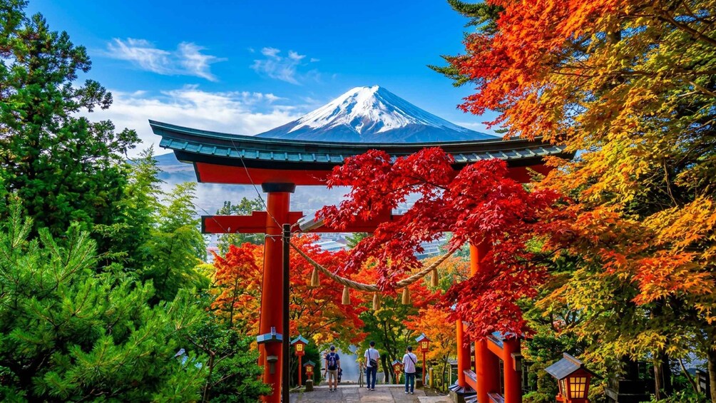 A traditional Japanese torii gate with a view of Mount Fuji in the background. 5