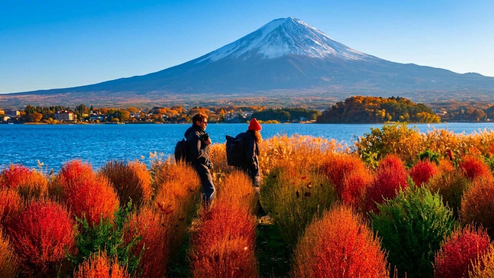 Picture 1 for Activity Tokyo: Mt Fuji & Arakurayama& Oshino Hakkai&Lake Kawaguchiko 5