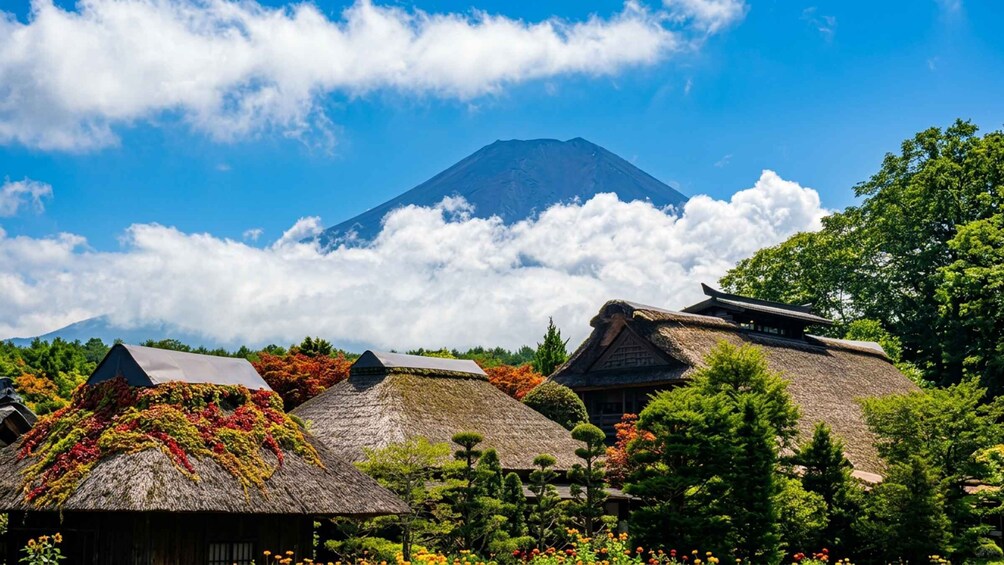 Picture 3 for Activity Tokyo: Mt Fuji & Arakurayama& Oshino Hakkai&Lake Kawaguchiko 4