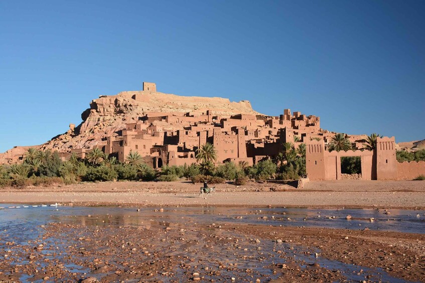 Picture 8 for Activity From Ouarzazate: Aït Benhaddu, Fint Oasis & Film Studio Trip 5