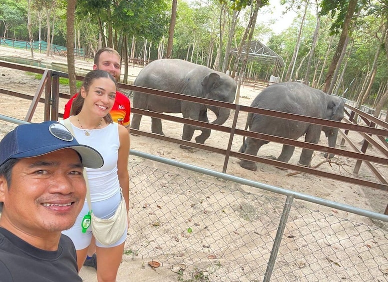 A fenced area with elephants and people. 4