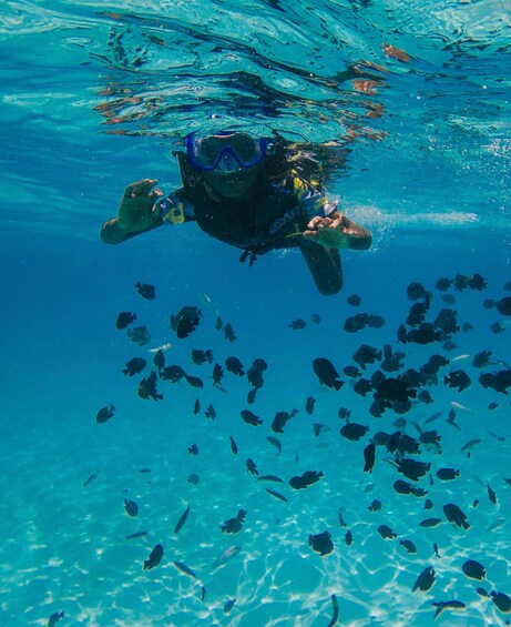 Durres: Speedboat Tour to Sazan Island, Cave & Karaburun 1