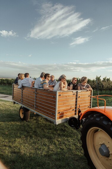 A group of people sitting in a trailer attached to an orange tractor in a vineyard. 2