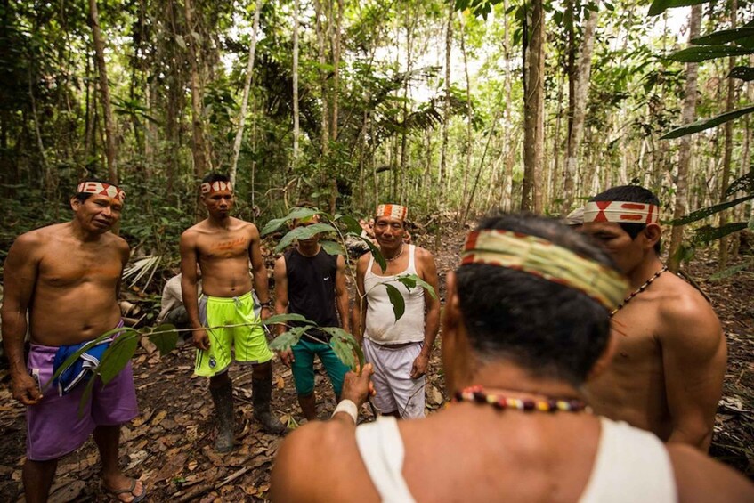 A group of shirtless men in a forested area, some holding leaves. 4