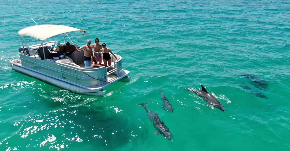 Picture 3 for Activity Cocoa Beach: 2-Hour Boat Tour with Captain 3