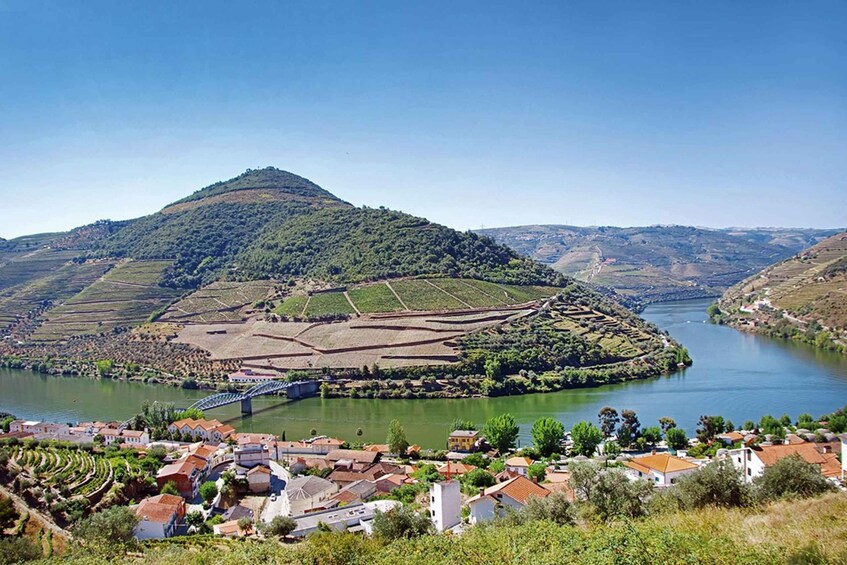 A river valley with terraced vineyards, a bridge, and a small town. 4
