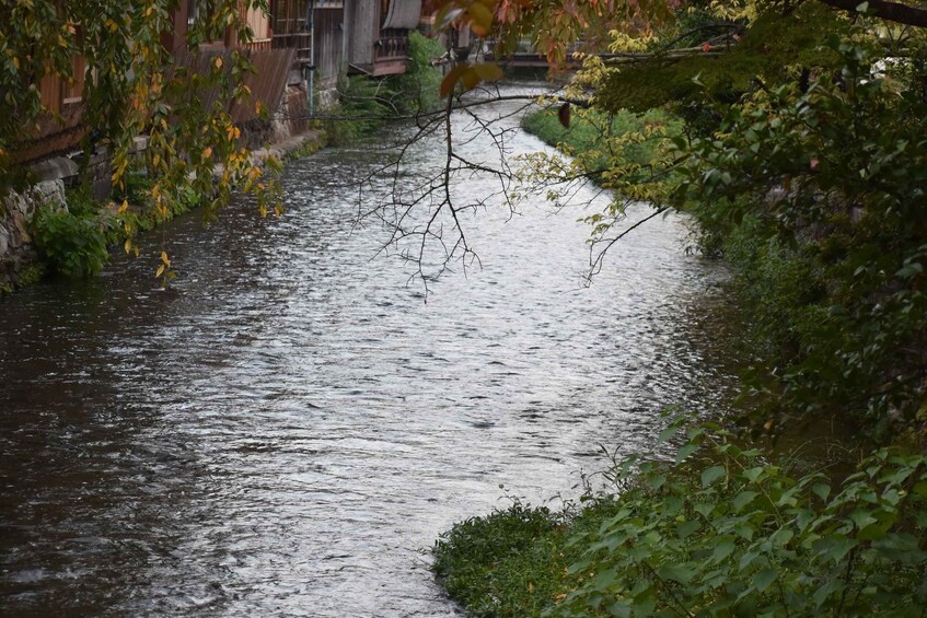 A narrow river with water flowing through a narrow channel, surrounded by greenery and buildings. 5