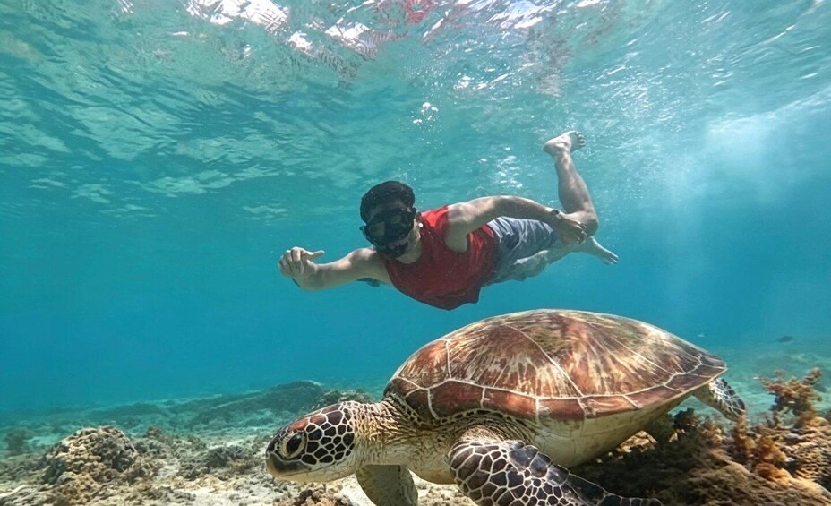 A person swimming with a sea turtle underwater. 2