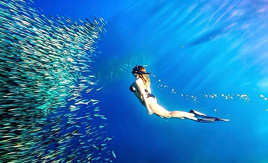 A person swimming with a school of fish. 4