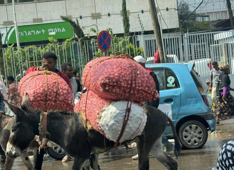 A donkey carrying large sacks, a blue car, and a green sign with white text. 4