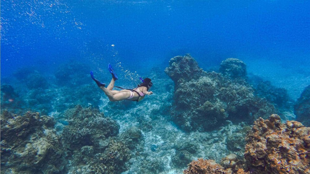 Cozumel: Hop on a glass-bottom boat and dive into a snorkeling adventure 1