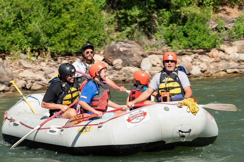 Durango Half Day Rafting Trip - Lower Animas River 1