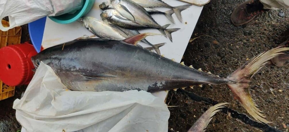 A large fish on a table with other smaller fish and a red container. 2