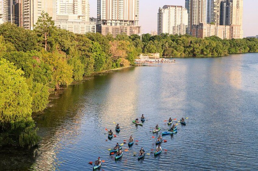 Guided Sunset Bat Kayak Tour in Austin 2