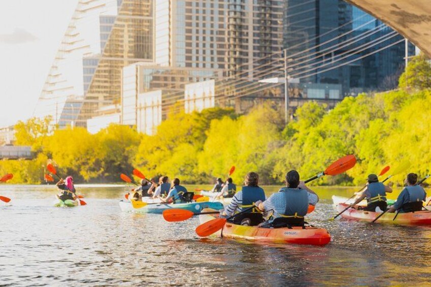 Guided Sunset Bat Kayak Tour in Austin 3