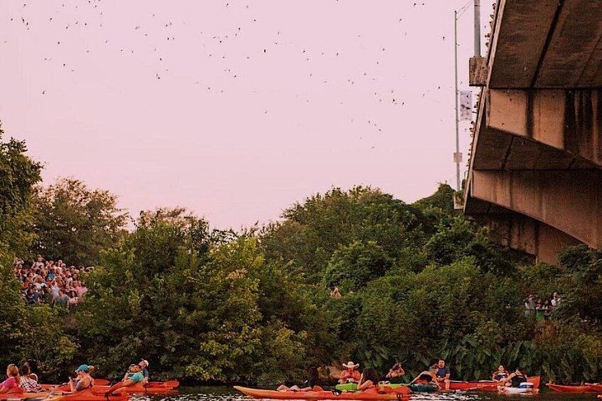 Guided Sunset Bat Kayak Tour in Austin 2