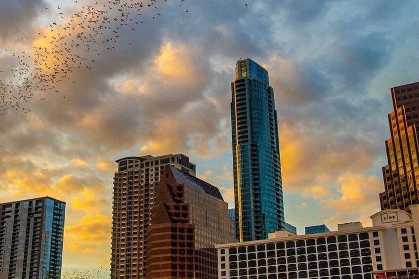 Guided Sunset Bat Kayak Tour in Austin 2