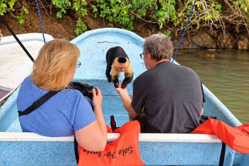 Un bote con dos personas y un perro, rodeado de follaje y agua. 5