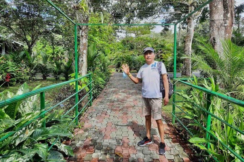 A person standing on a brick pathway surrounded by lush greenery. 3