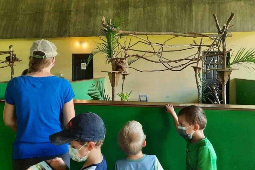 A reception area with a green counter, a woman in a blue shirt, and two children. 4