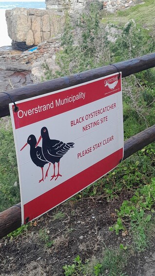 Opastekyltti, joka osoittaa Overstrandin kunnan alueella sijaitsevan mustan merimetson pesimäalueen. Kyltissä on punavalkoinen värimaailma ja lintukuva. 4