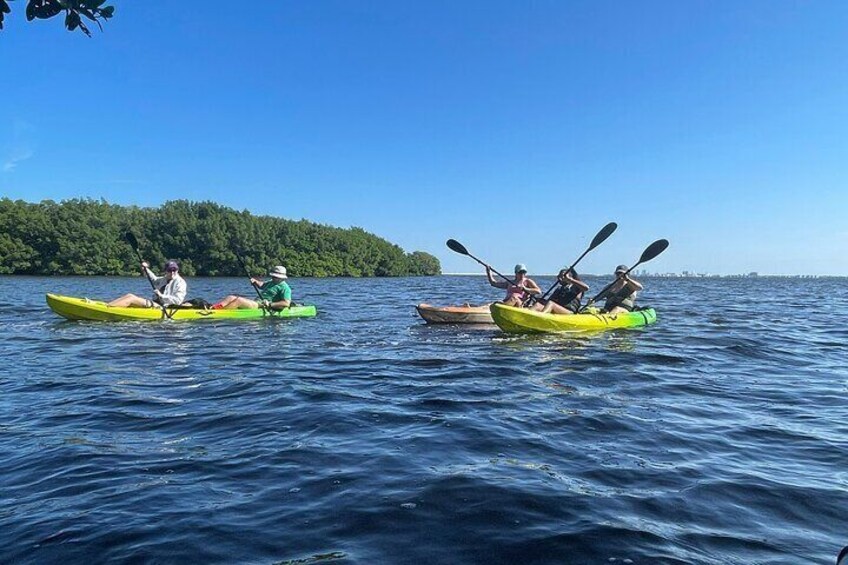 Kayak Adventure at Shell Key Preserve in Tierra Verde