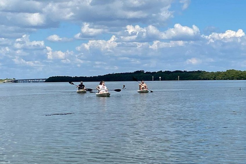 Three kayaks on calm water with a bridge and trees in the background. 3