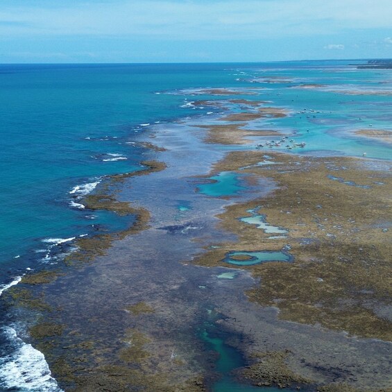 Picture 10 for Activity Tour of the natural pools of São Miguel dos Milagres 3