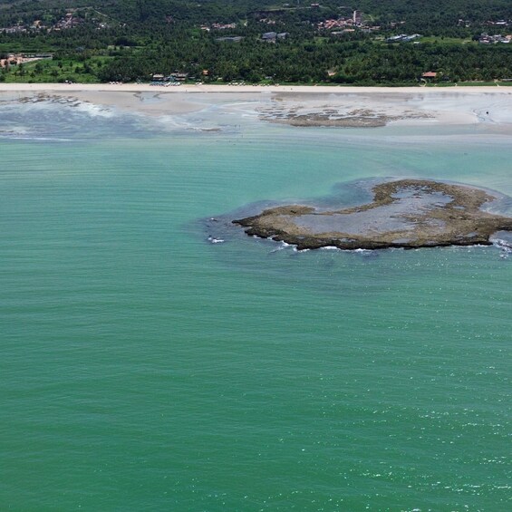 Picture 14 for Activity Tour of the natural pools of São Miguel dos Milagres 5