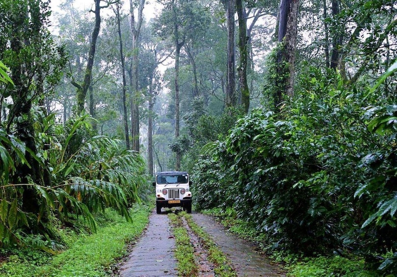A white off-road vehicle on a narrow, muddy path surrounded by dense forest. 4