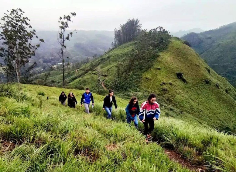 A group of hikers walking on a grassy hillside with a valley in the background. 1