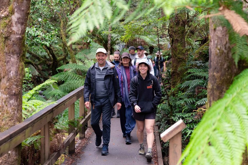 A group of people walking on a wooden bridge surrounded by lush greenery. 4