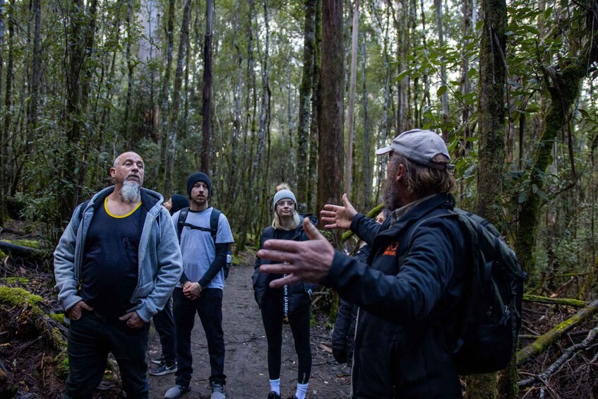 Picture 5 for Activity Hobart: Mt Field National Park & Wildlife Shore Excursion 4