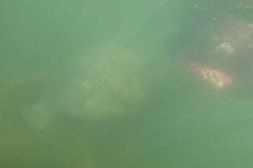 A murky underwater scene with a reddish object and some indistinct shapes. 2