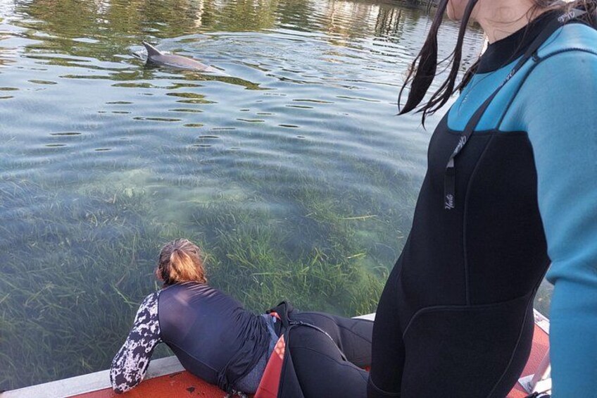Una persona con traje de neopreno apoyada en un bote, otra persona de pie a su lado y un delfín en el agua. 3