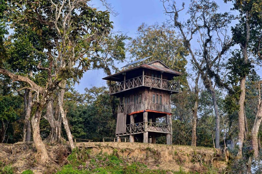 Picture 1 for Activity Chitwan: 1-Night Jungle Safari with Transfers from Kathmandu 3